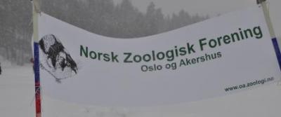 Medlemskap
