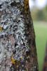 normal_lite_dsc_0226_t1.jpg