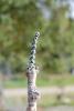 normal_lite_dsc_0228_t1.jpg